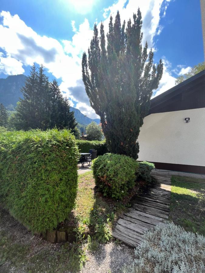 Apartamento Pod Galetovcem Bohinjska Bela Exterior foto